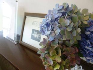 横浜市イギリス館　夏のアジサイ