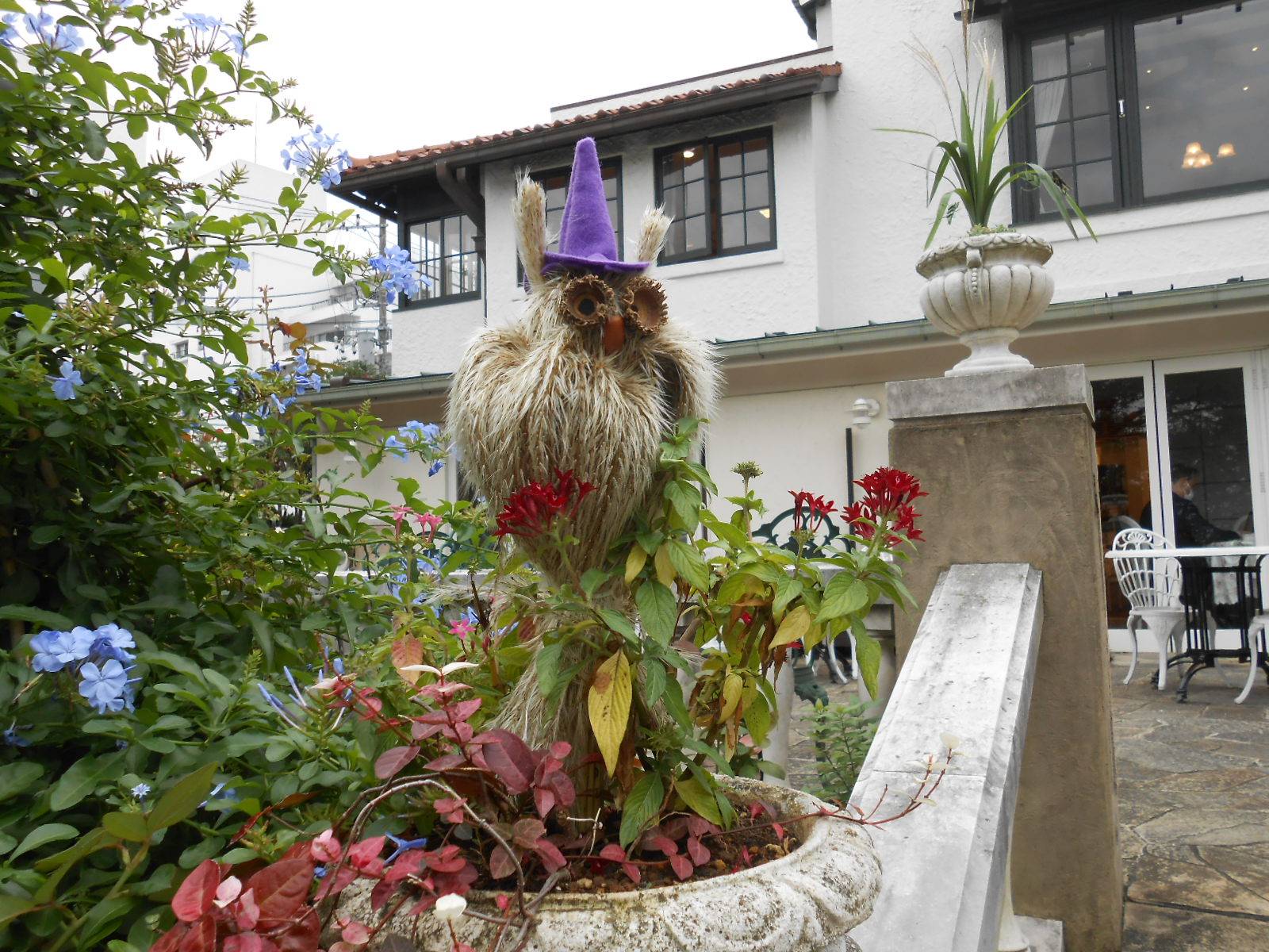 山手111番館 カフェ・ザ・ローズ入口のハロウィン装飾の写真