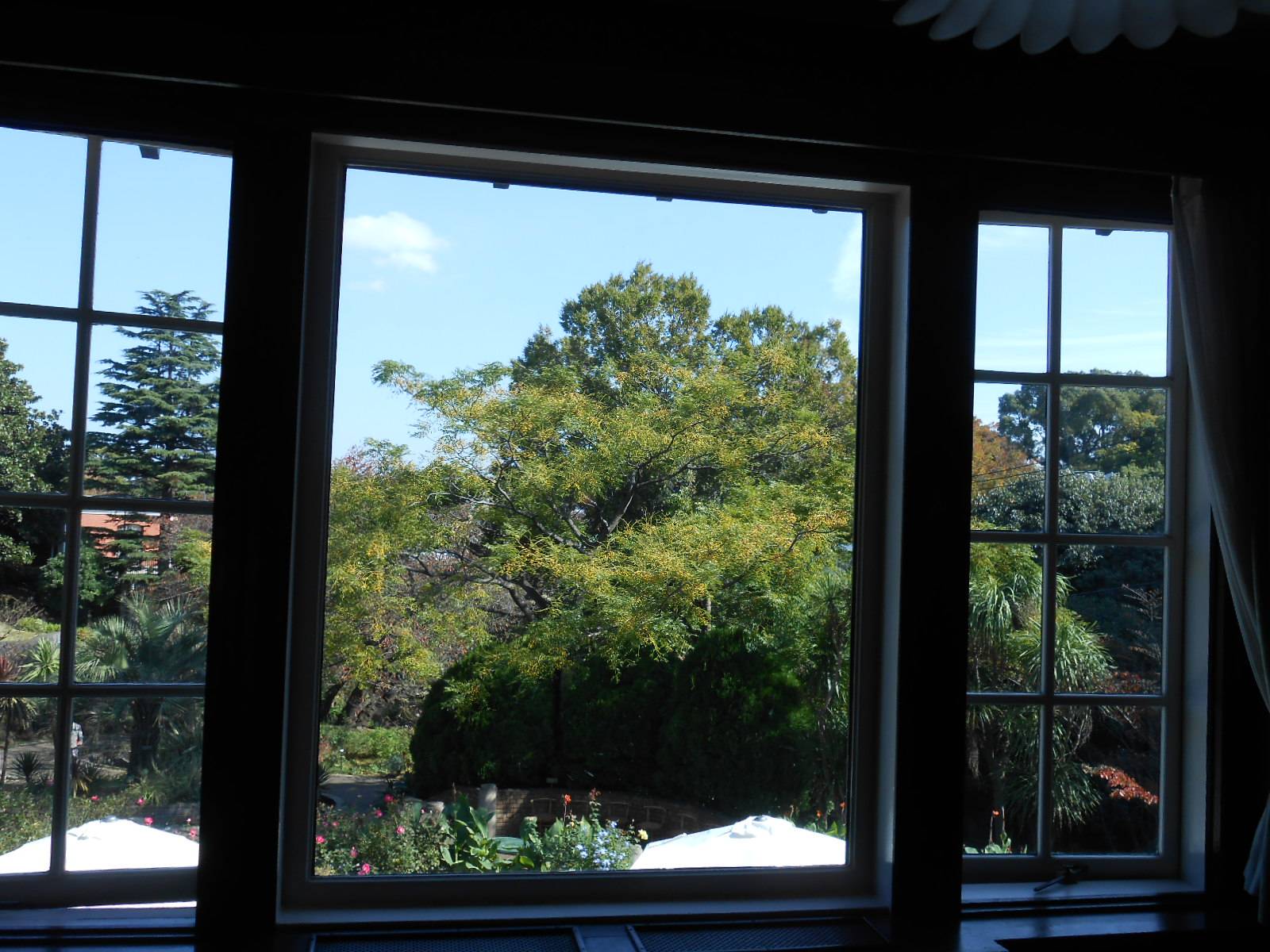 山手111番館ダイニング窓からの景色の写真