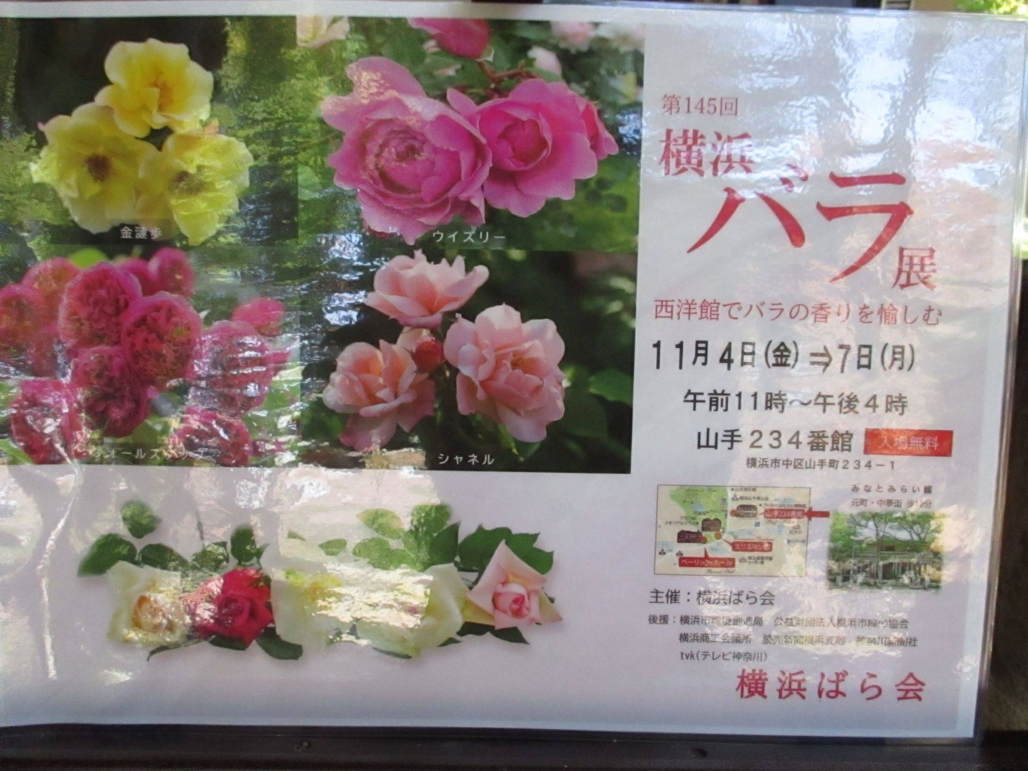 山手234番館 開催中のギャラリーのご案内の写真