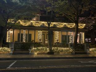 山手234番館 クリスマスイルミネーション点灯しました