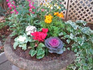 山手234番館　冬のプランター