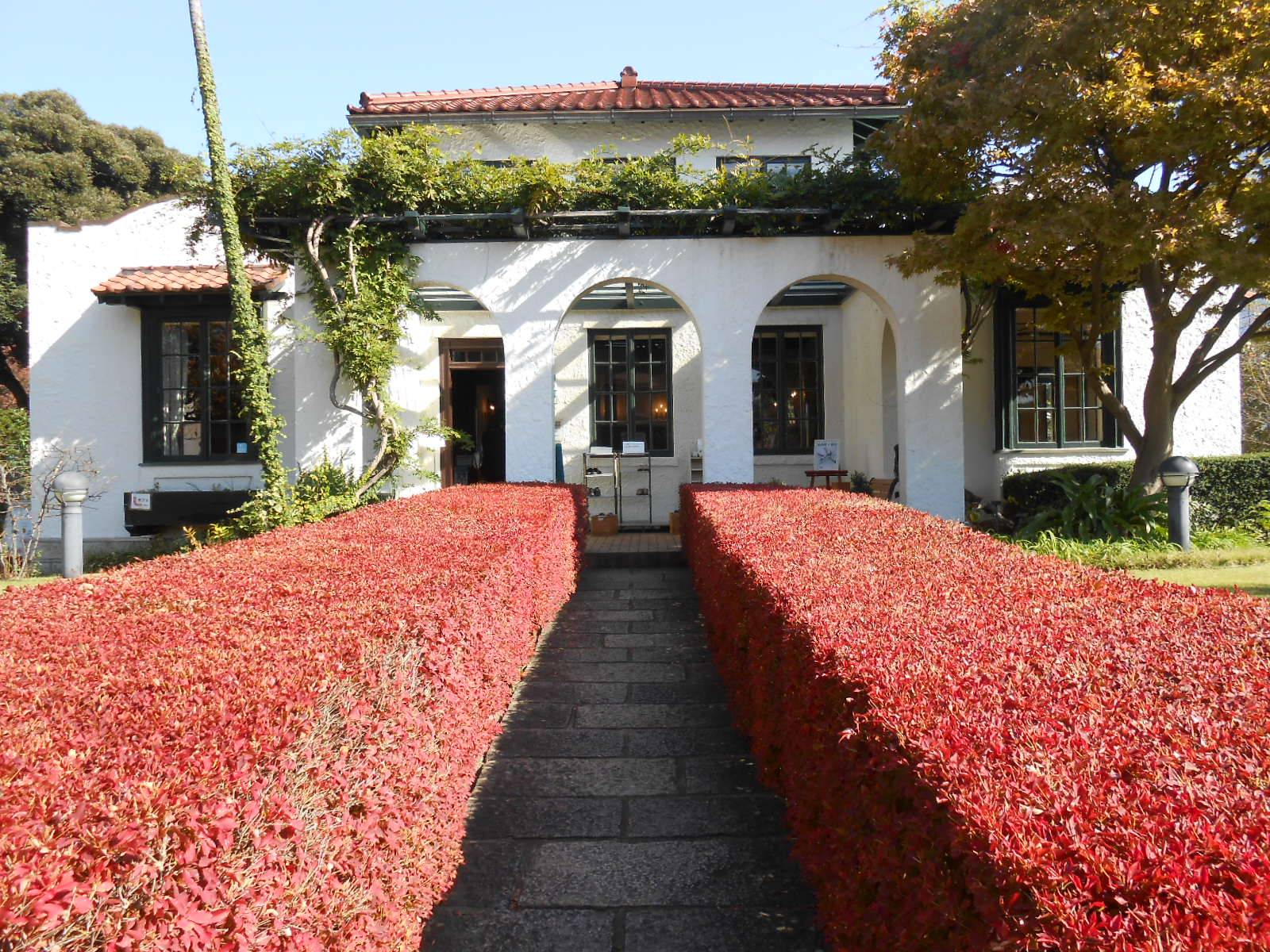 山手111番館の紅葉の写真