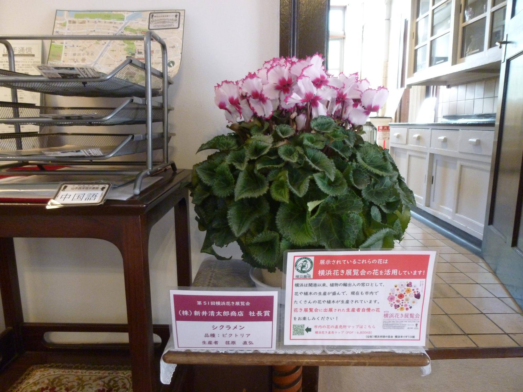 横浜花き展覧会の花を活用しています!の写真