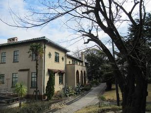 ベーリック・ホール 桜開花情報【3月14日号】