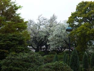 横浜市イギリス館 雨の日の景色