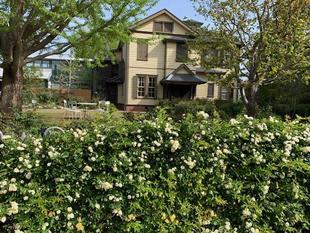 今朝のイタリア山庭園の様子【外交官の家】