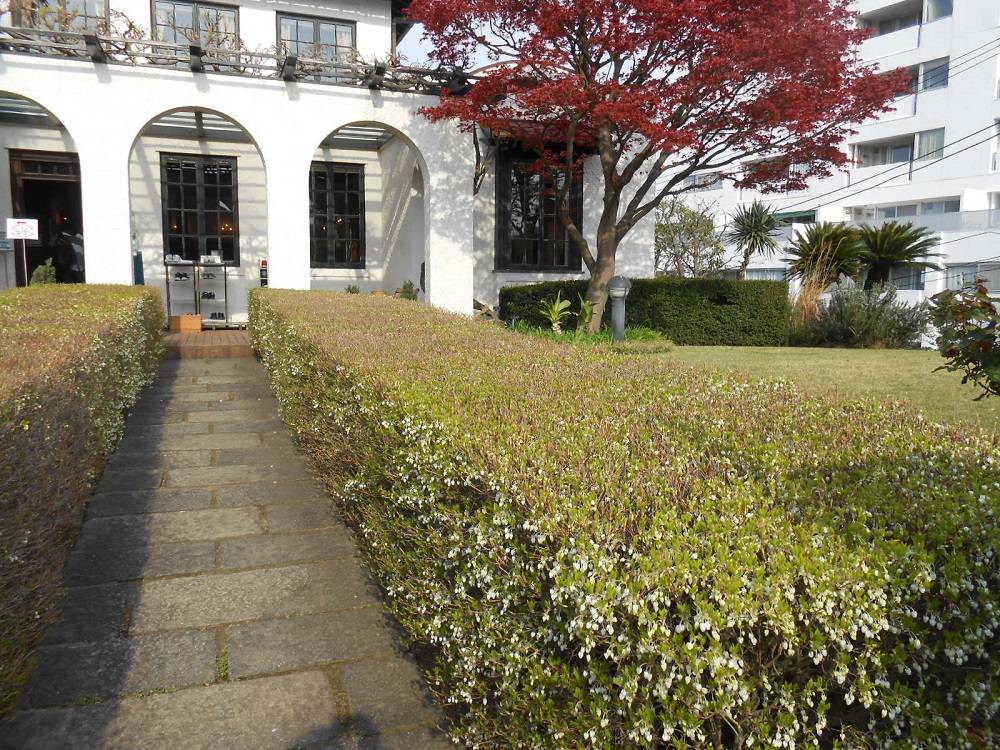 山手111番館　庭の花模様の写真