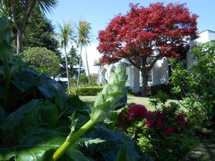 山手111番館　庭季節情報