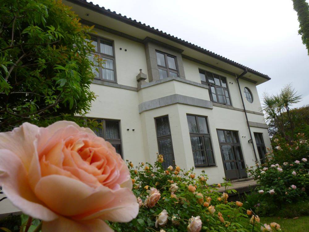 横浜市イギリス館　中庭のバラ part2の写真