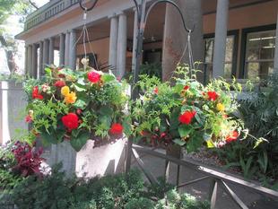 山手234番館　新しいハンギングバスケットとプランター