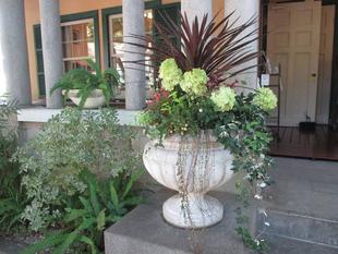 山手234番館　プランター植え替えをしました