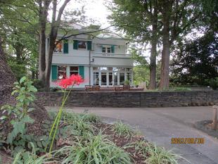 エリスマン邸の秋