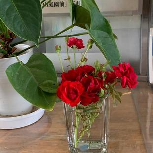 【外交官の家】外交官の家の館内が華やかになりました！