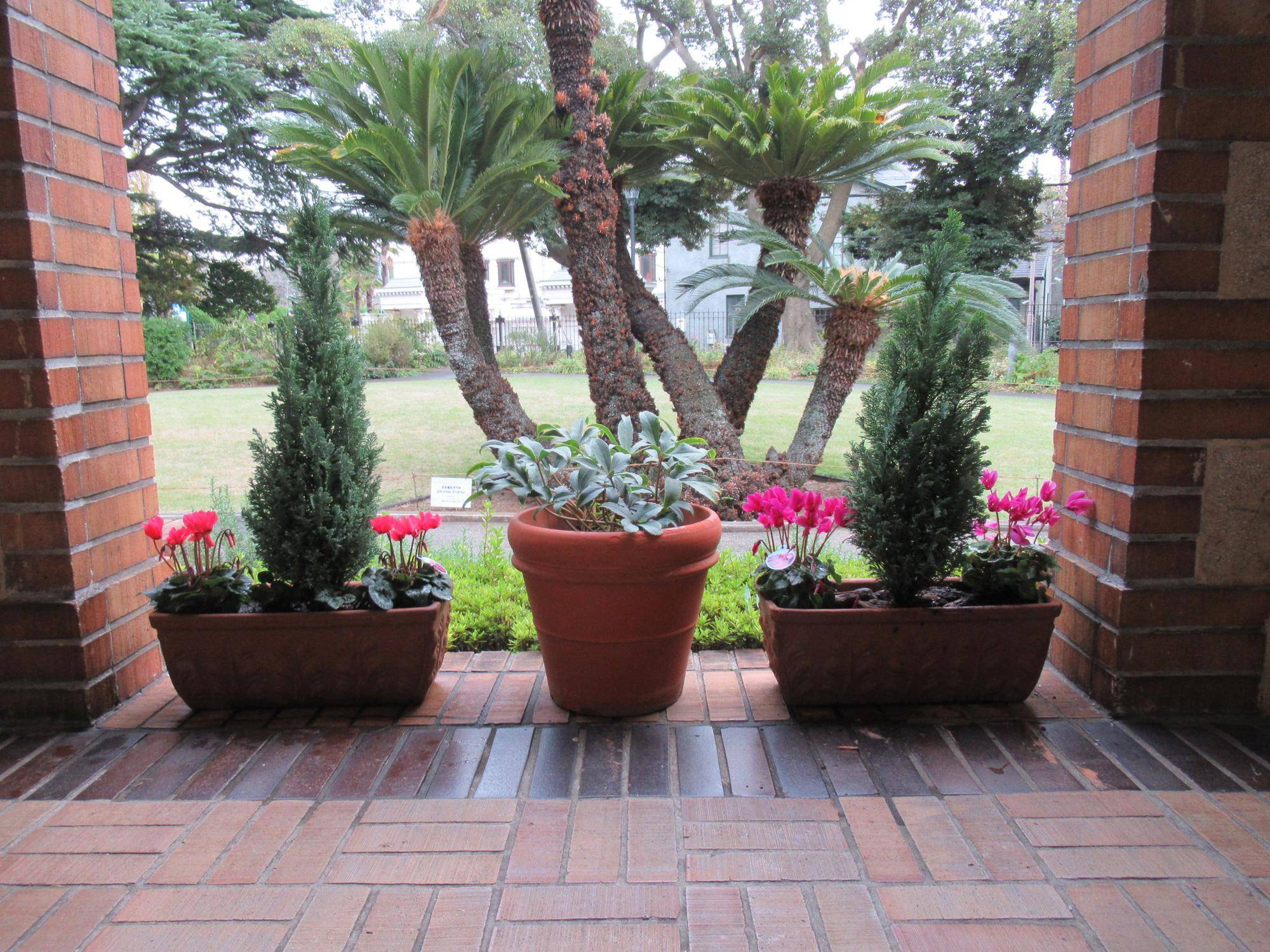 ベーリック・ホール　冬の花苗に植替えました。の写真