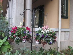 山手234番館　プランターとハンギングバスケットの植替え