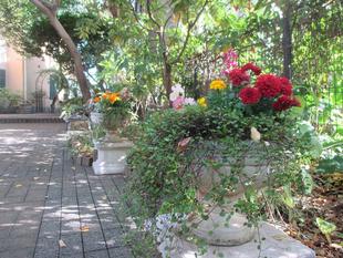 山手234番館　プランター植替え