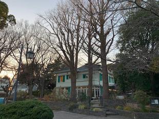 エリスマン邸周りの剪定作業