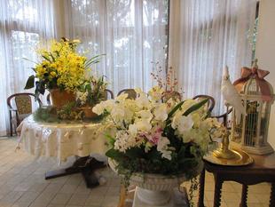 横浜市イギリス館 らんの寄植え芸術展&ブルネイフェア受賞作品