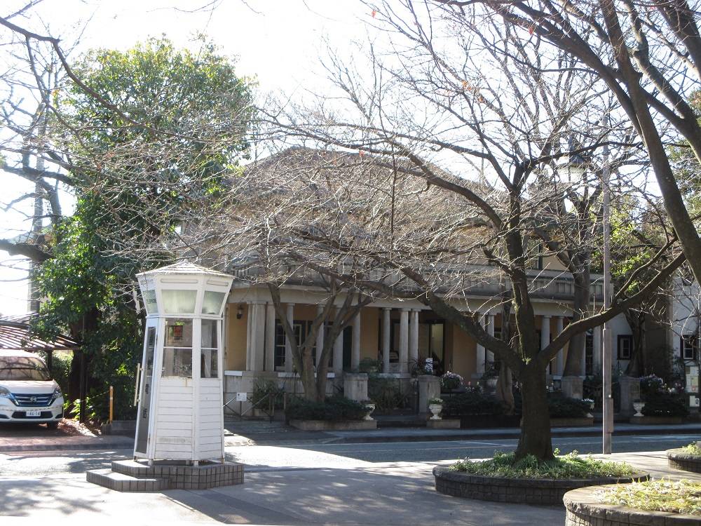 山手234番館 桜開花情報【2024年2月27日】の写真
