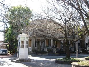 山手234番館　桜開花情報【2024年2月27日】