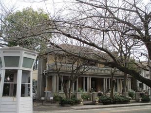  山手234番館　桜開花情報【2024年3月7日】