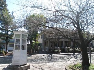 山手234番館　桜開花情報【2024年3月1日】