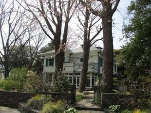 エリスマン邸 桜開花情報【2024年4月2日】