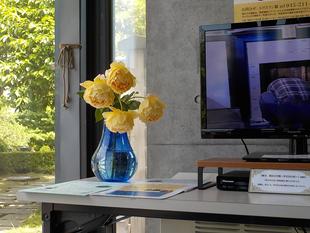 外交官の家　前庭の折れてしまったバラの再活用