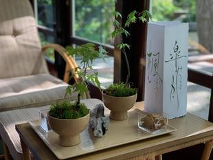 エリスマン邸　端午の節句装飾