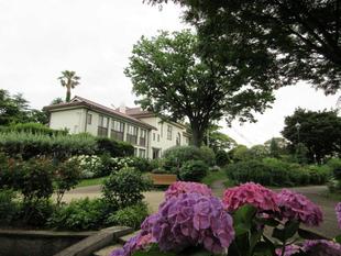 横浜市イギリス館 初夏の花々とイギリス館