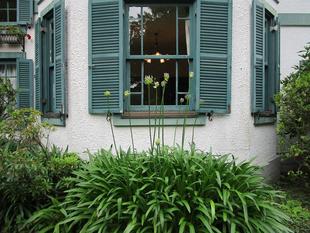 ブラフ18番館　６月の庭花