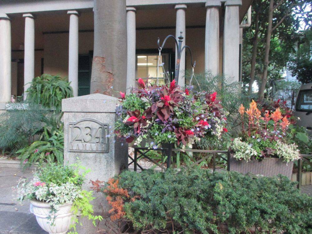 山手234番館　ハンギングバスケット・プランターの植替えの写真