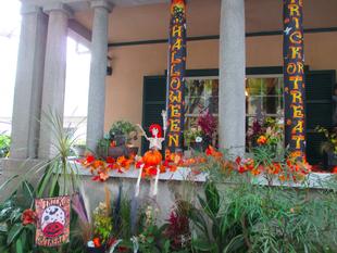 山手234番館　2024ハロウィン装飾『HALLOWEEN NIGHT ミステリアス』