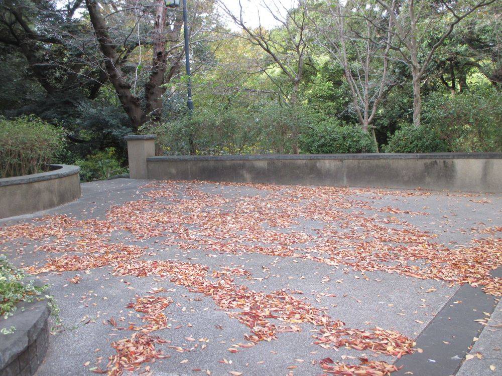 山手234番館 元町公園と234番館の朝の落ち葉の写真
