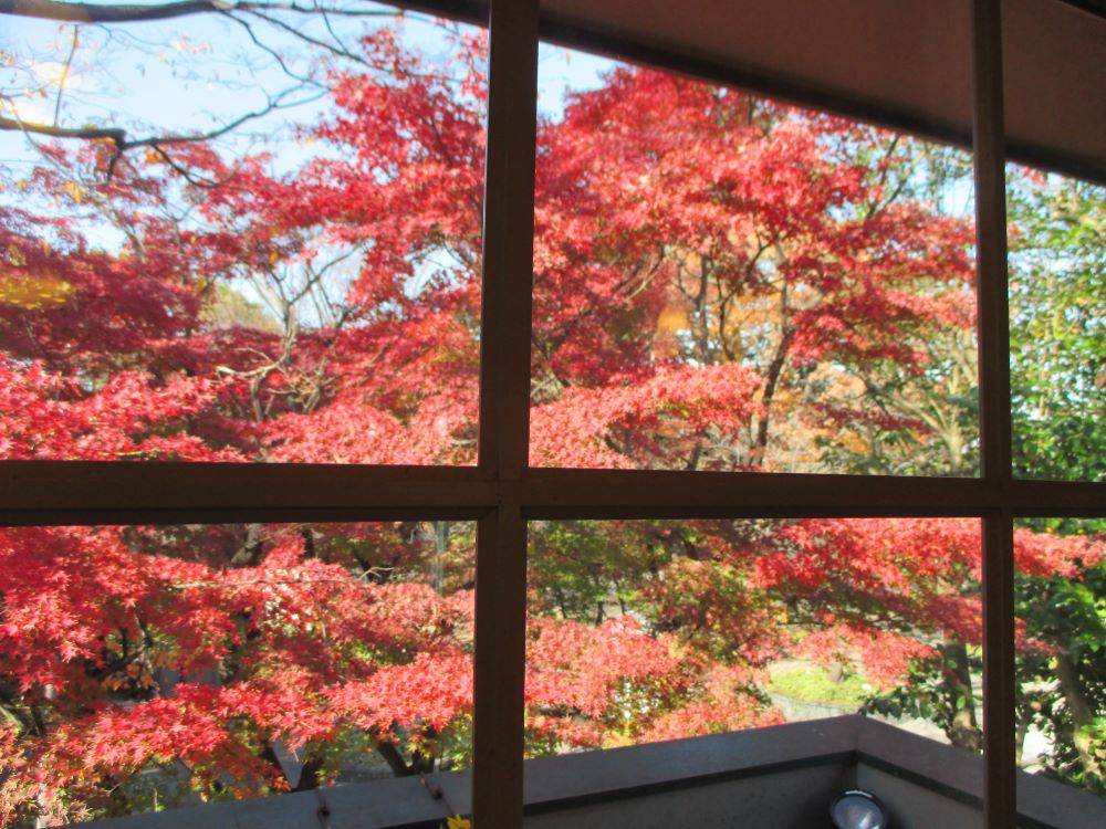 山手234番館の紅葉の便り 2024の写真