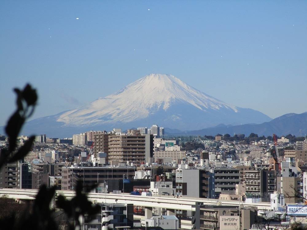 ブラフ18番館 山手イタリア山庭園からの絶景!富士山の写真
