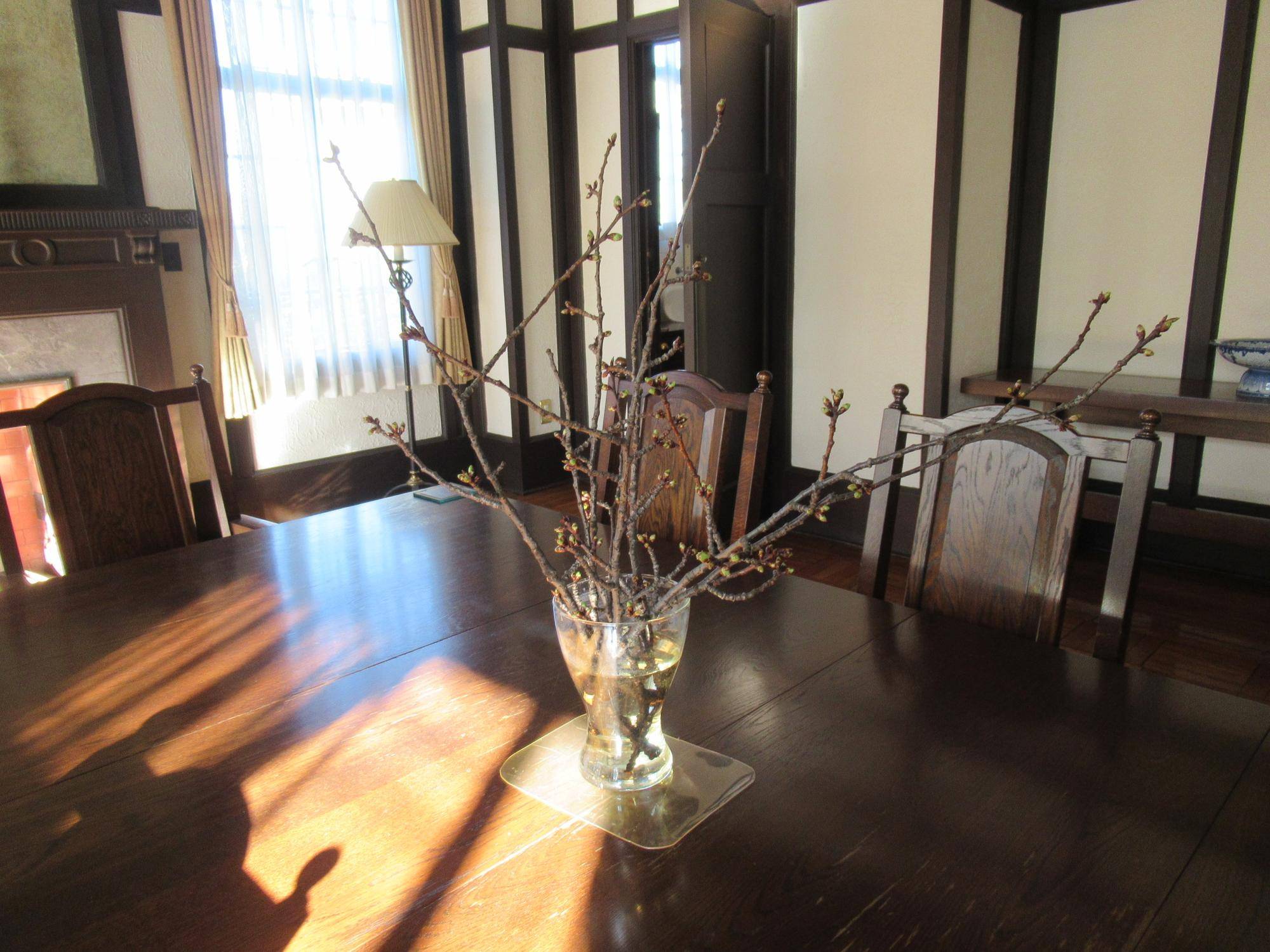 ベーリック・ホール　河津桜を飾りましたの写真