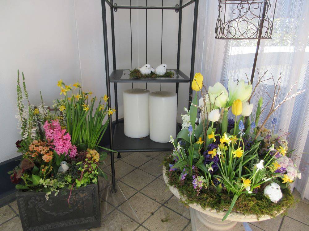 横浜市イギリス館　春の寄せ植えの写真