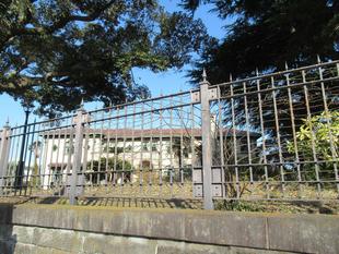 ベーリック･ホール　バラの誘引作業  