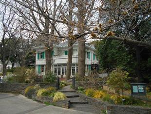 エリスマン邸　桜開花情報【2025年3月24日】