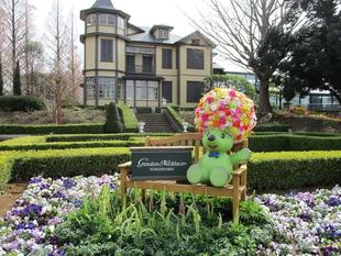 ブラフ18番館　庭園にニューフェイス登場！