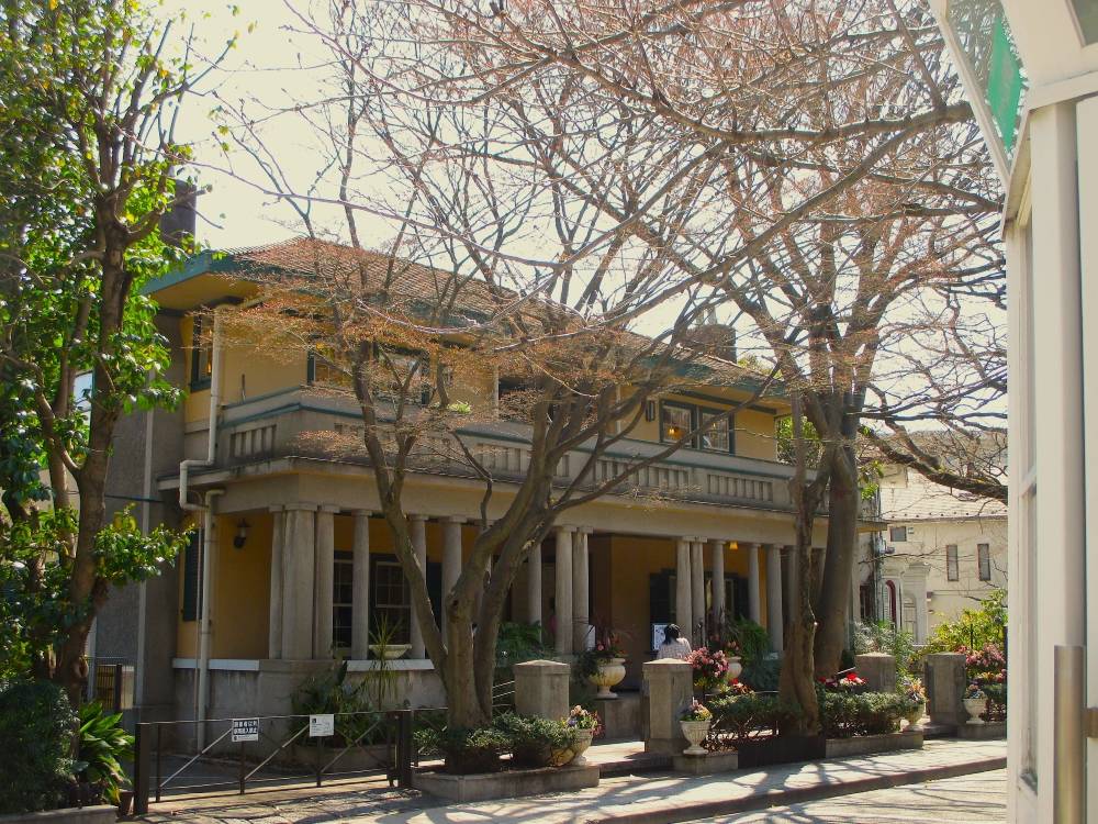 山手234番館 桜開花情報【2025年3月22日】の写真