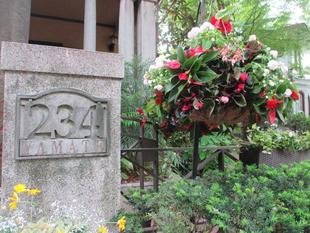 山手234番館 ハンギングバスケット・プランターの植替え