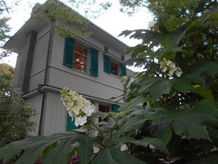 エリスマン邸　アジサイ