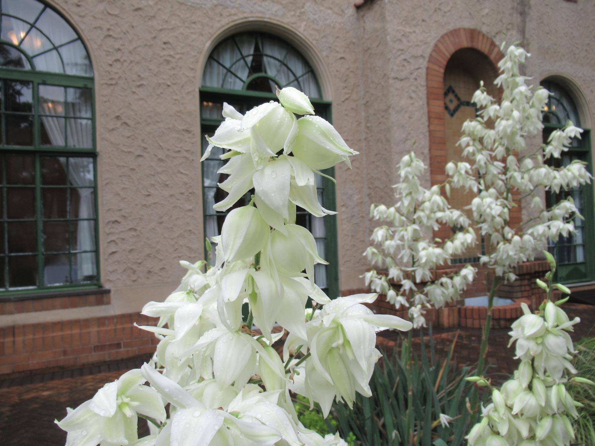 ベーリック･ホール　庭園の様子の写真