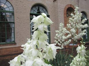 ベーリック・ホール 庭園の様子