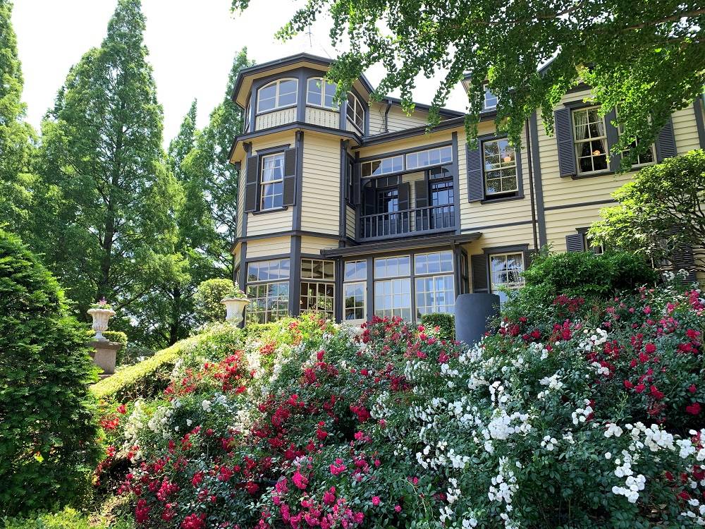 山手イタリア山庭園(外交官の家)2025年6月1日バラ情報 の写真