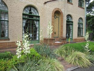 ベーリック・ホール　6月の庭園の様子