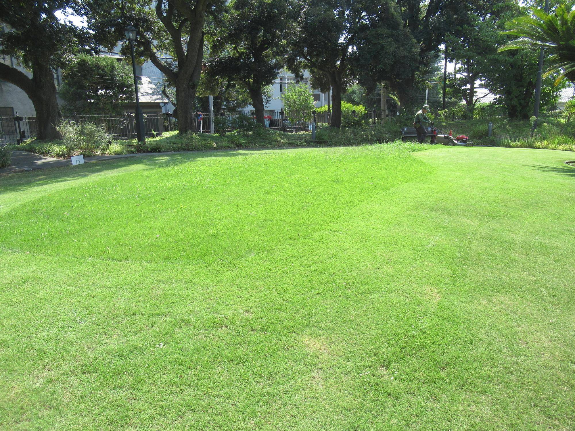 ベーリック・ホール　庭園の芝刈りの写真